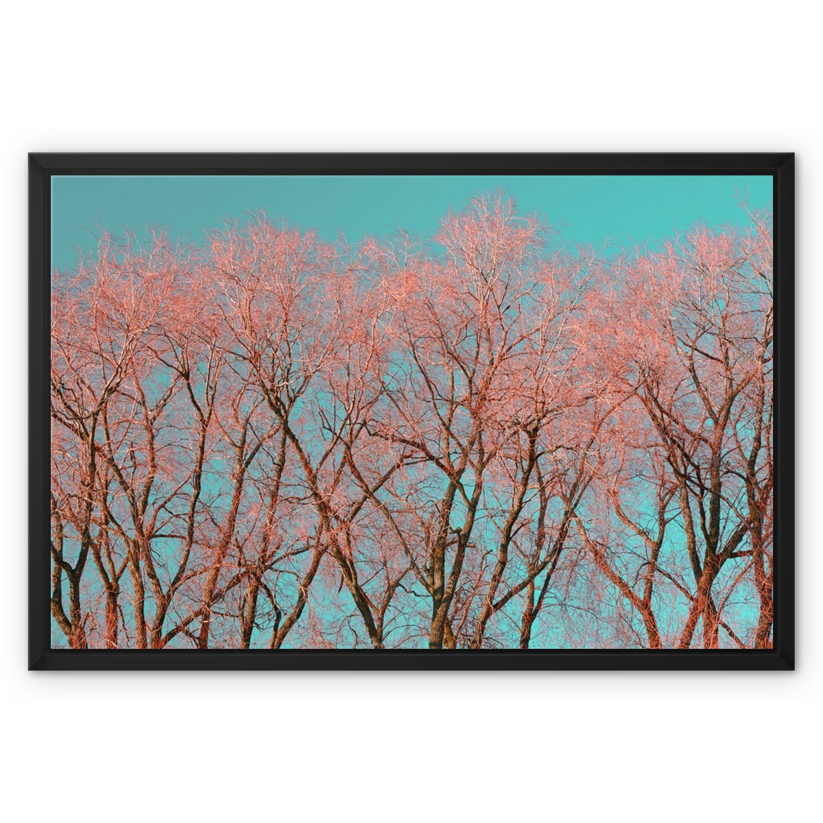 Photography Print of England Framed Canvas Print I (Red Tree Warrington) I Skyline,Landscape Wall Art, Fine Art Print