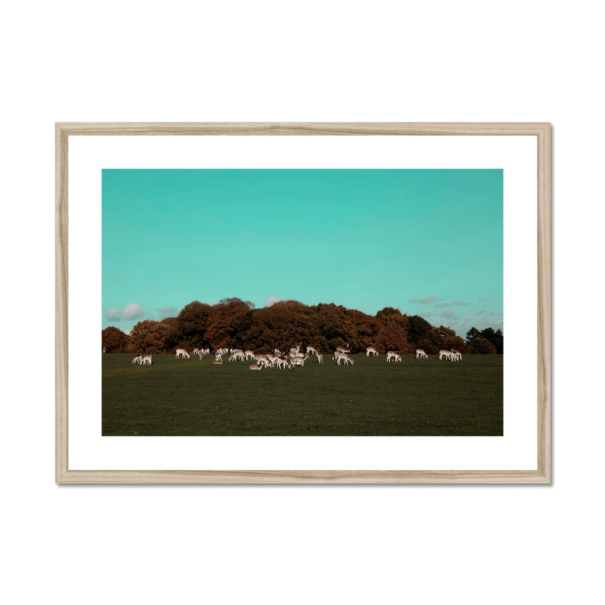 Return of the Deer Herd I Photography Framed & Mounted Art Print of UK I Skyline Wall Art Print