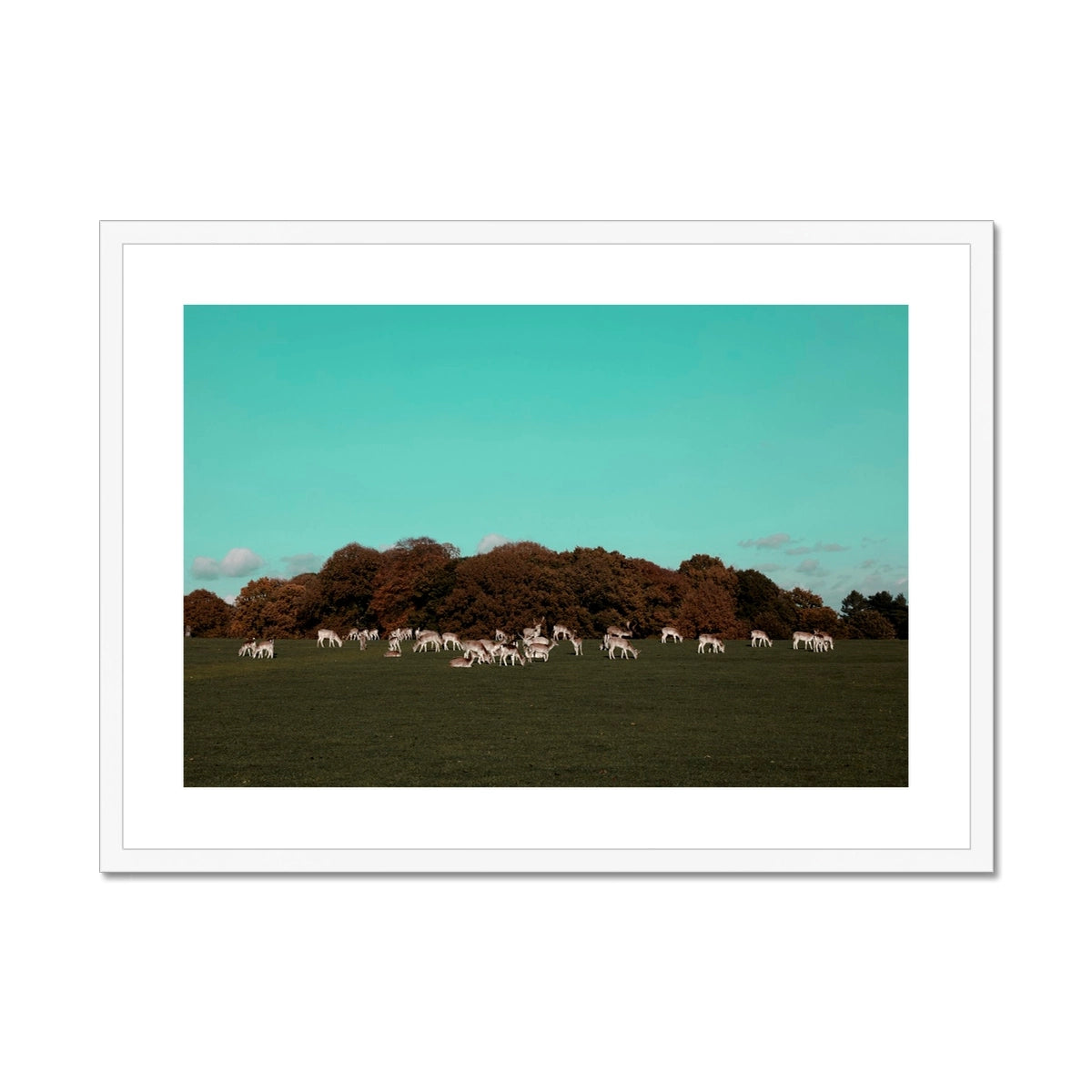 Return of the Deer Herd I Photography Framed & Mounted Art Print of UK I Skyline Wall Art Print
