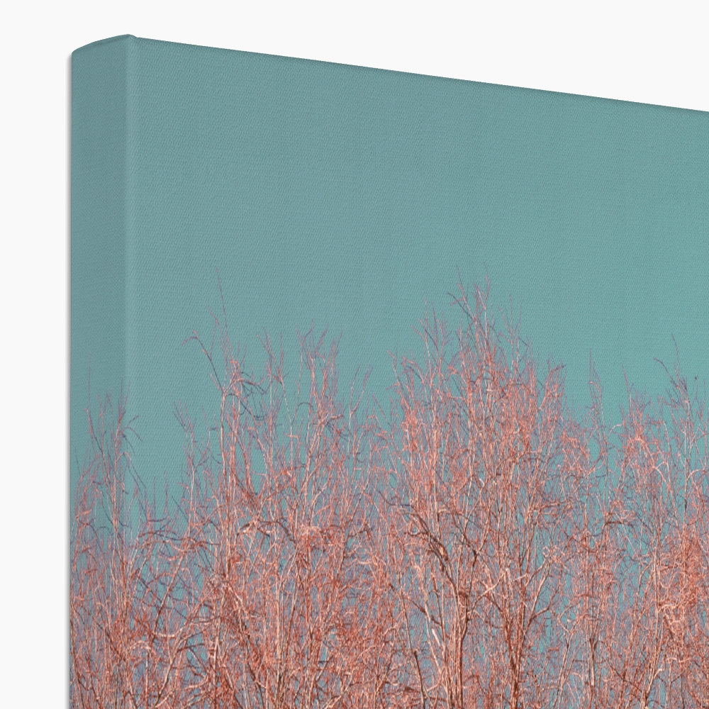 UK Photography Canvas Print Red Tree Warrington,Cityscape,Landscape Wall Art