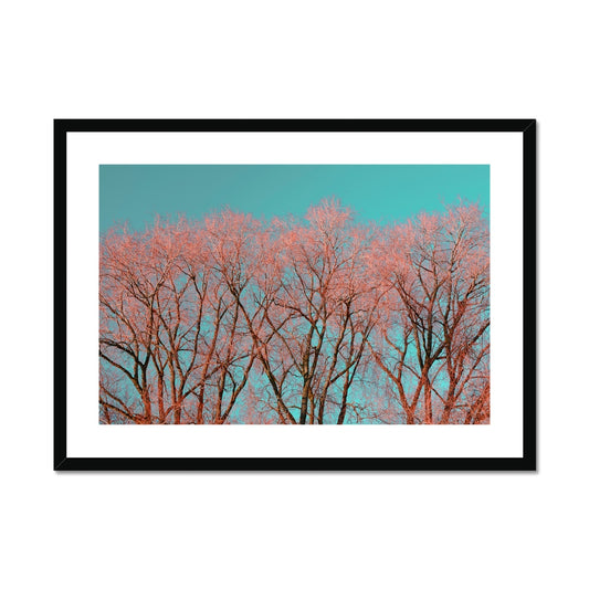 Warrington Framed & Mounted Photography Art Print , Red Tree, UK Wall Art