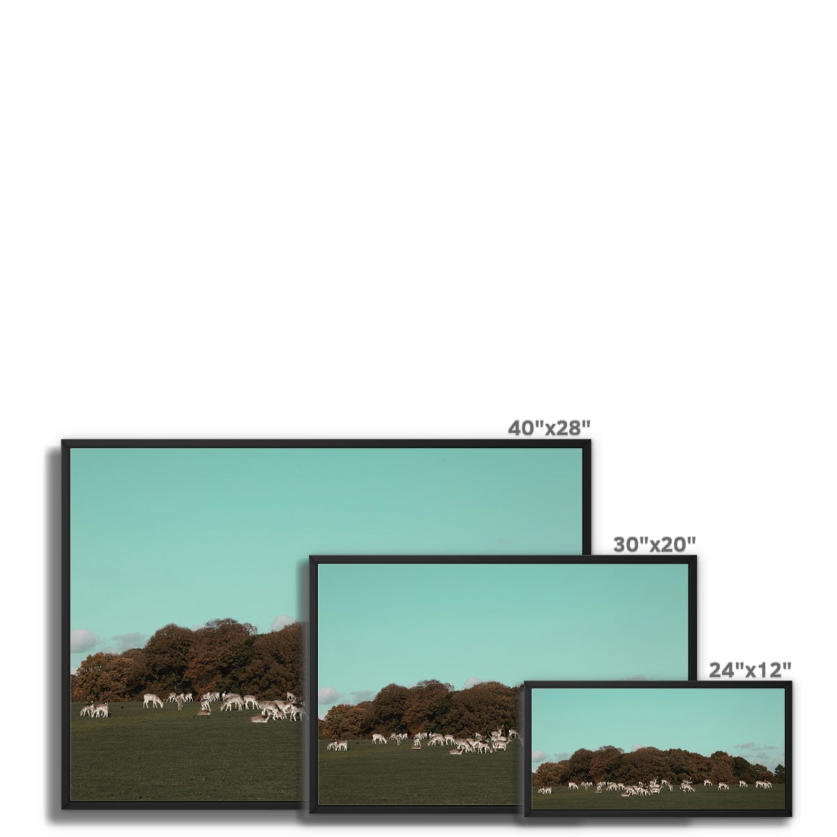 England Framed Canvas Print I Deer in Tatton Park,Warrington,UK I Landscape,skyline, photo print wall art