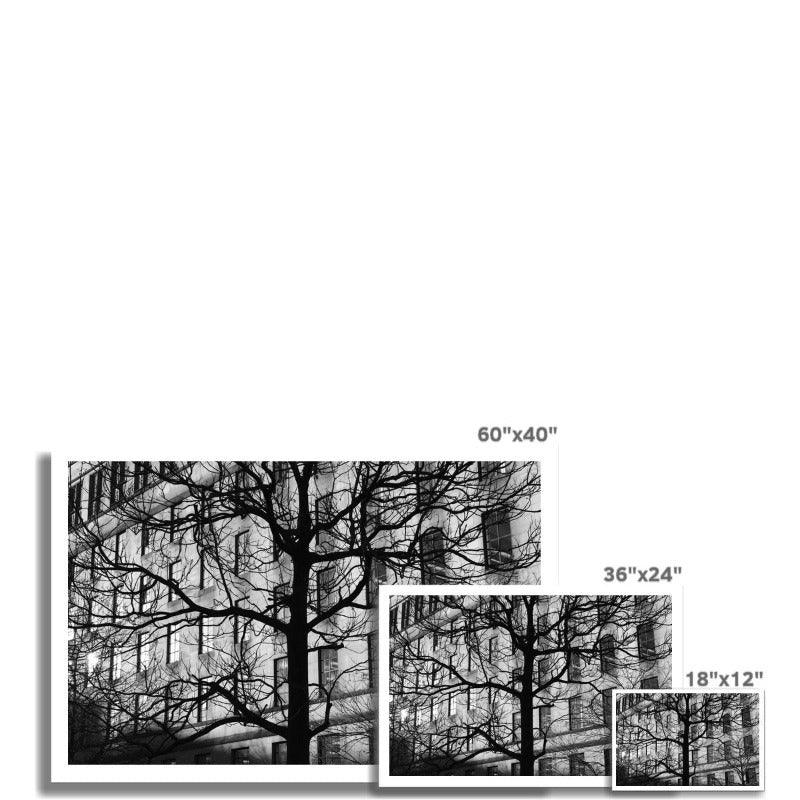 Branches_Manchester_2
