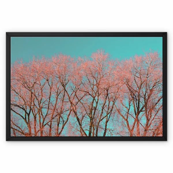 Framed Canvas Prints