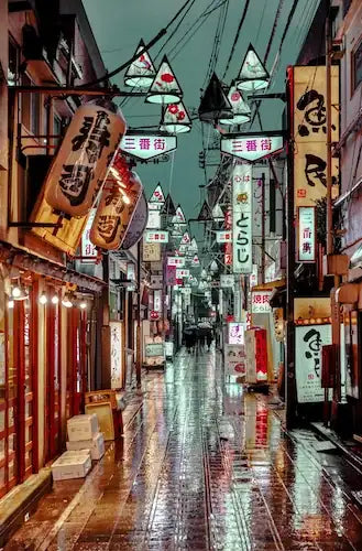 Third Street, Night City Nakano Tokyo,