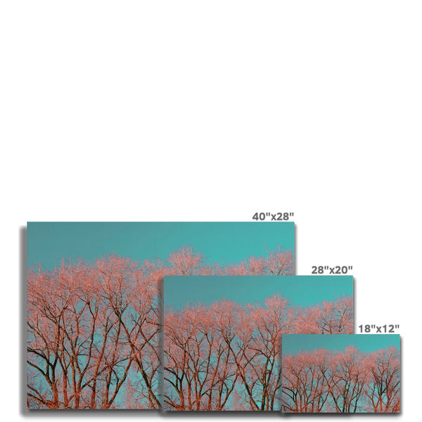 UK Photography Canvas Print Red Tree Warrington,Cityscape,Landscape Wall Art