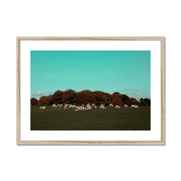 Return of the Deer Herd I Photography Framed & Mounted Art Print of UK I Skyline Wall Art Print