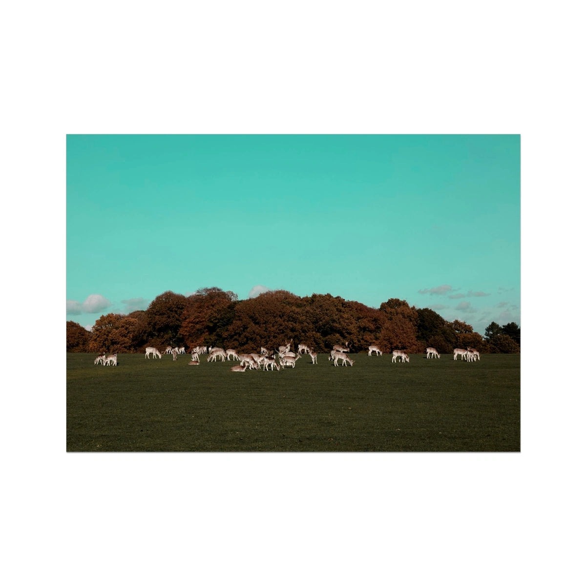 Return of the Deer Herd I Photography Art Print of UK I Skyline Wall Art Print