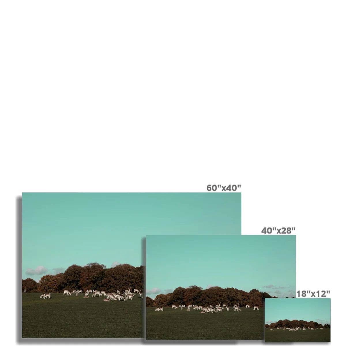 Return of the Deer Herd I Photography Art Print of UK I Skyline Wall Art Print