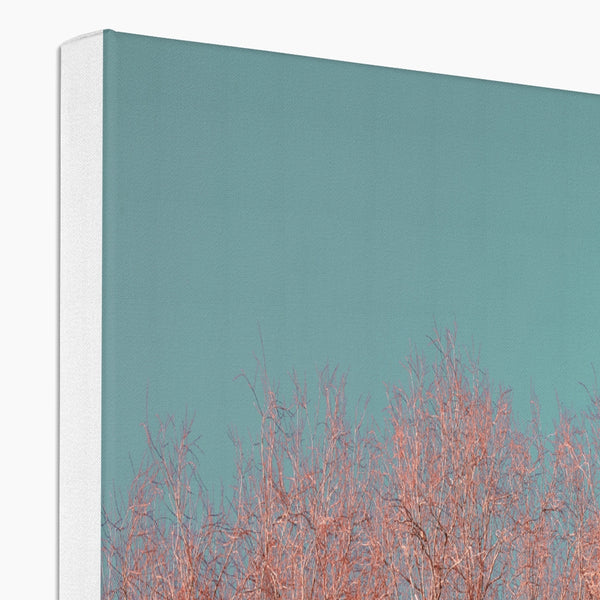 UK Photography Canvas Print Red Tree Warrington,Cityscape,Landscape Wall Art