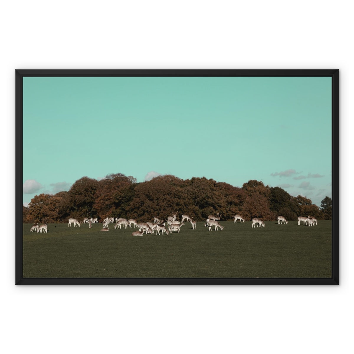 England Framed Canvas Print I Deer in Tatton Park,Warrington,UK I Landscape,skyline, photo print wall art