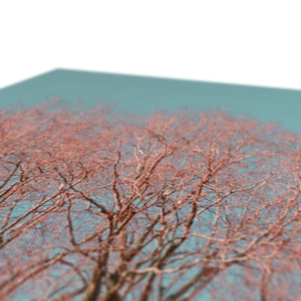 UK Photography Canvas Print Red Tree Warrington,Cityscape,Landscape Wall Art