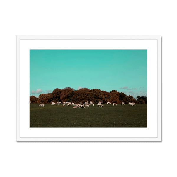 Return of the Deer Herd I Photography Framed & Mounted Art Print of UK I Skyline Wall Art Print