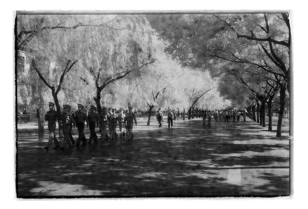 Beijing Black and White Photography Art Print  Forbidden City 