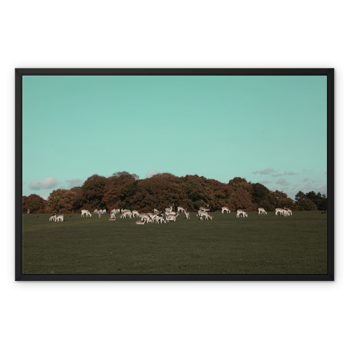 Warrington Framed Canvas Art Print "Deer in Tatton Park