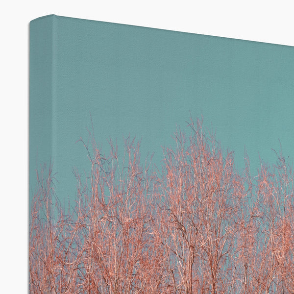 UK Photography Canvas Print Red Tree Warrington,Cityscape,Landscape Wall Art