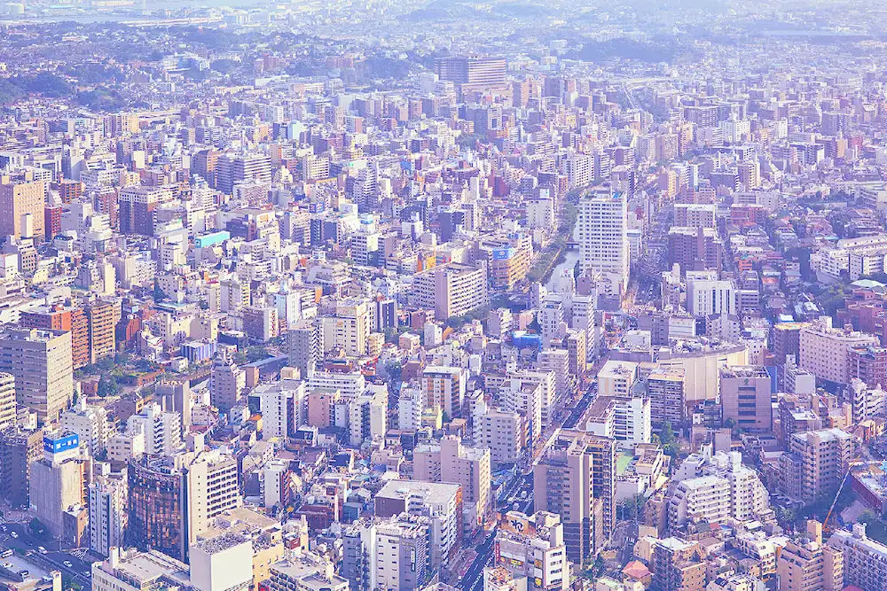 Tokyo Photography Art Print I Japan Cityscape & Skyline Wall Art