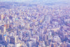 Tokyo Photography Art Print I Japan Cityscape & Skyline Wall Art