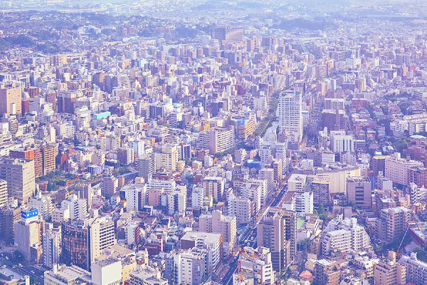Tokyo Photography Art Print I Japan Cityscape & Skyline Wall Art