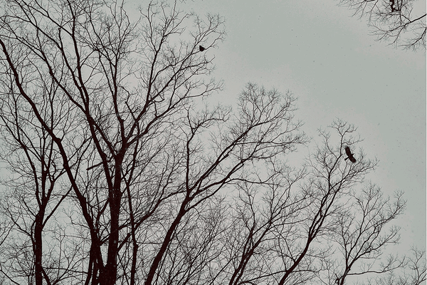 Conceptual Photography Print of Skyline I Wall Art Photo Print I Limited Edition