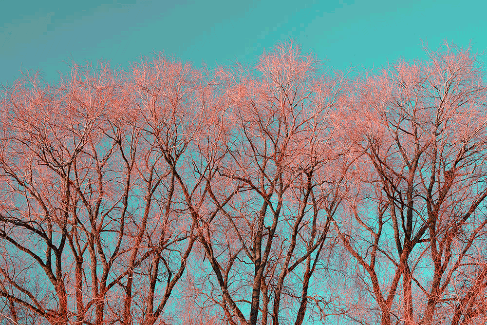 alt_pink-party-in-sky-art-Print