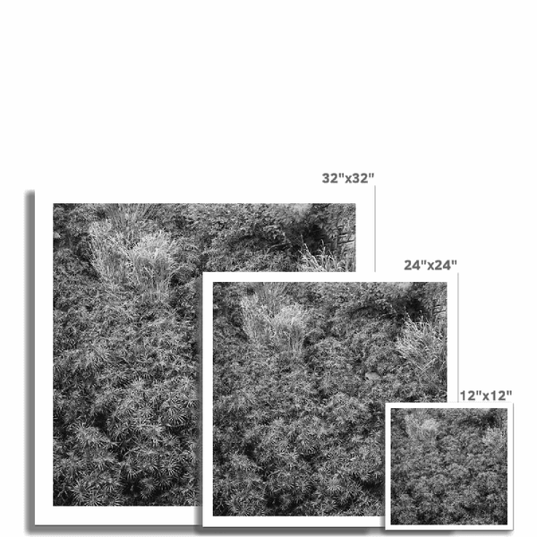 September Okinawa -Japan Landscape Wall Art, Black And White Photography Art Print