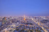 tokyo_tower_fine_art