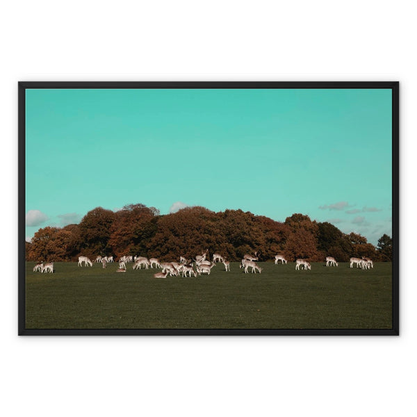 Return of the Deer Herd I Photography Framed Canvas Art Print of UK I Skyline Wall Art Print