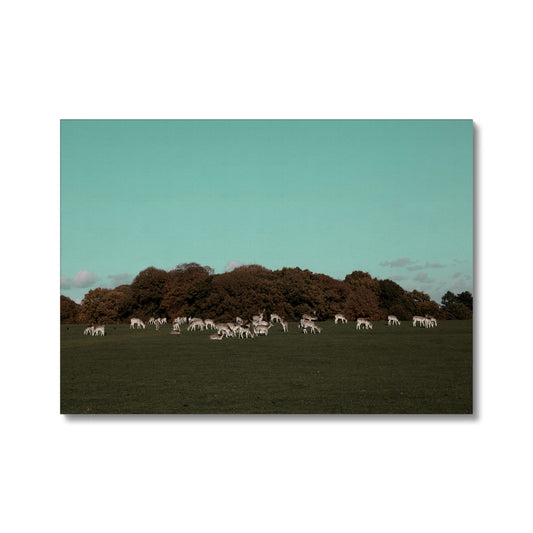 Canvas print of Tatton Park Deer,Warrington,England, Landscape,Photography art print