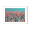 Warrington Framed & Mounted Photography Art Print , Red Tree, UK Wall Art