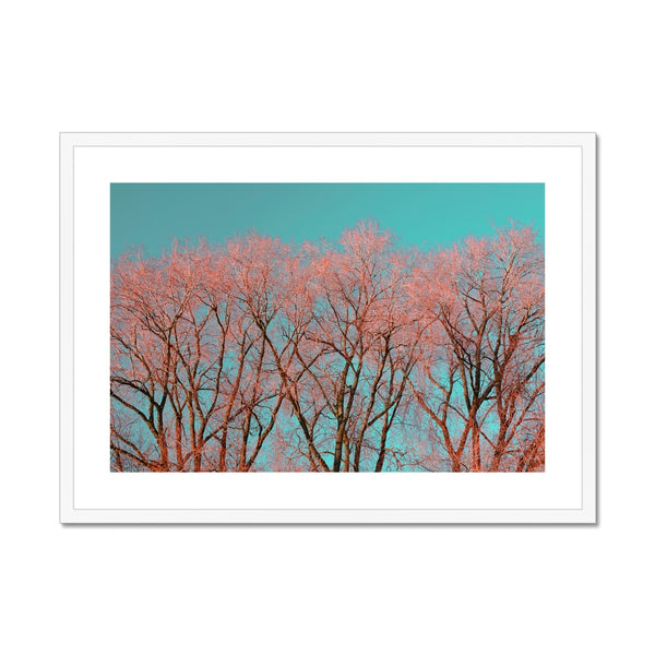 Warrington Framed & Mounted Photography Art Print , Red Tree, UK Wall Art