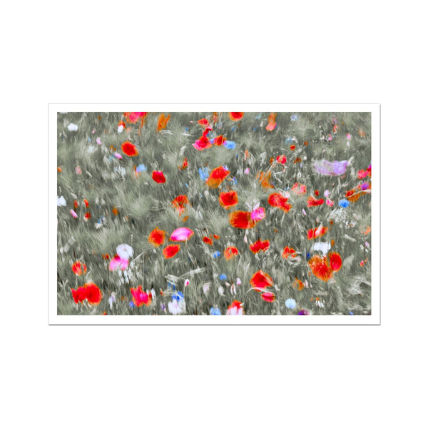 Photography Art Print of United Kingdom I Dancing flower -Warrington  Fine Art Print