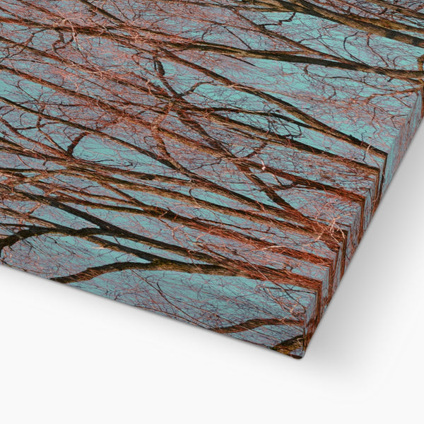 UK Photography Canvas Print Red Tree Warrington,Cityscape,Landscape Wall Art