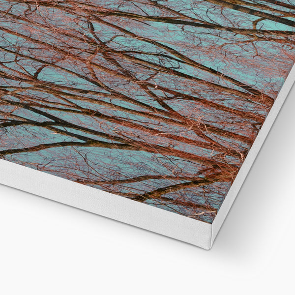 UK Photography Canvas Print Red Tree Warrington,Cityscape,Landscape Wall Art