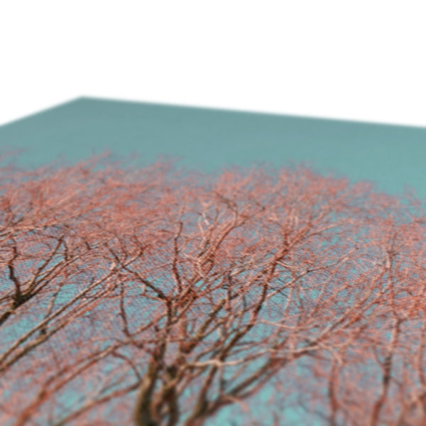 UK Photography Canvas Print Red Tree Warrington,Cityscape,Landscape Wall Art