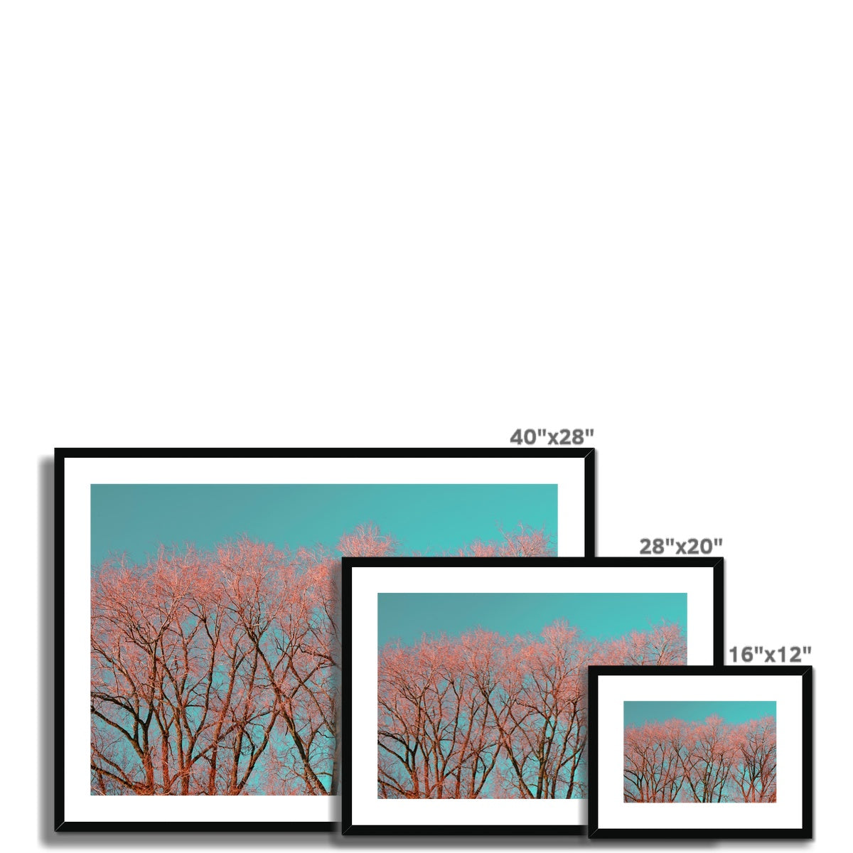 Red Tree Warrington Framed & Mounted Print