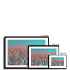 Warrington Framed & Mounted Photography Art Print , Red Tree, UK Wall Art