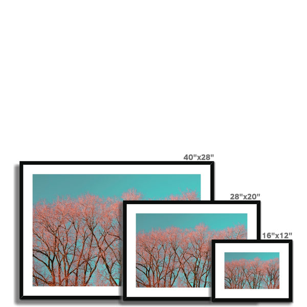 Warrington Framed & Mounted Photography Art Print , Red Tree, UK Wall Art