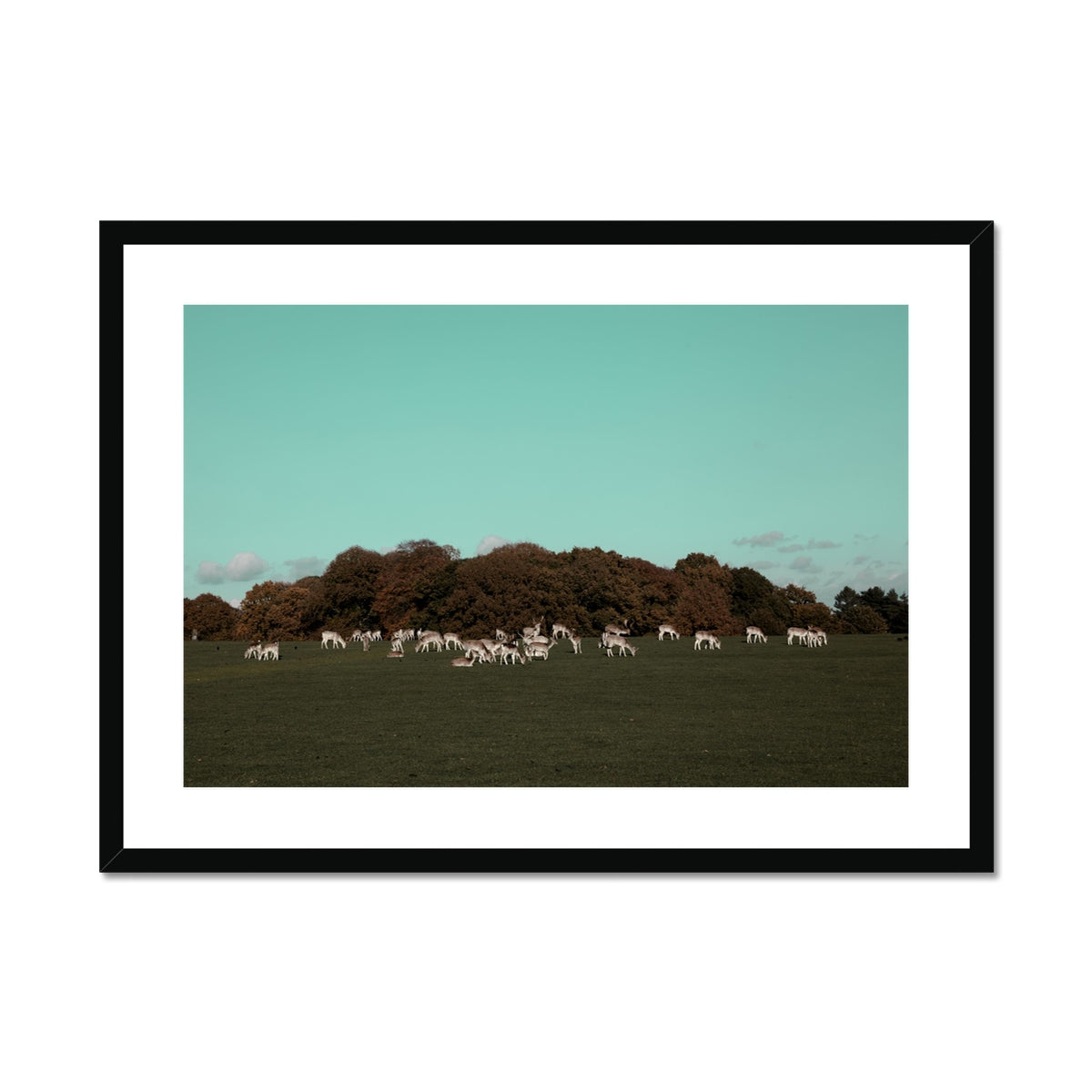 Tatton Park Deer Framed Art Print,Nature Wall Art Print UK