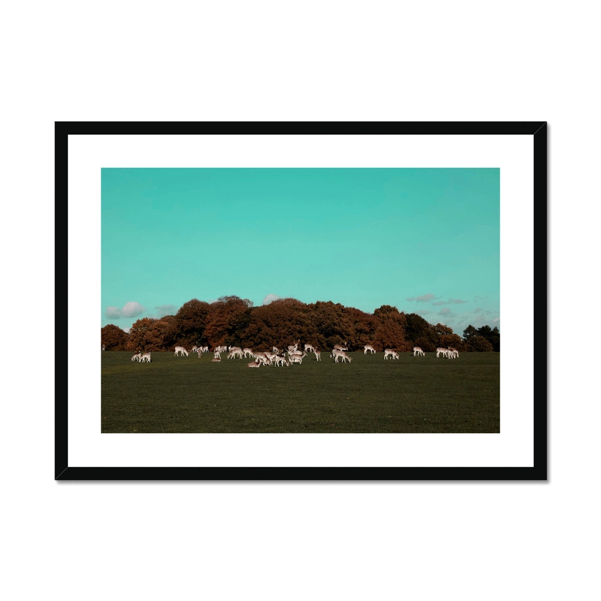 Return of the Deer Herd I Photography Framed & Mounted Art Print of UK I Skyline Wall Art Print
