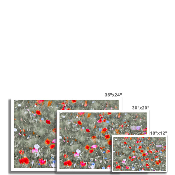 Photography Art Print of United Kingdom I Dancing flower -Warrington  Fine Art Print