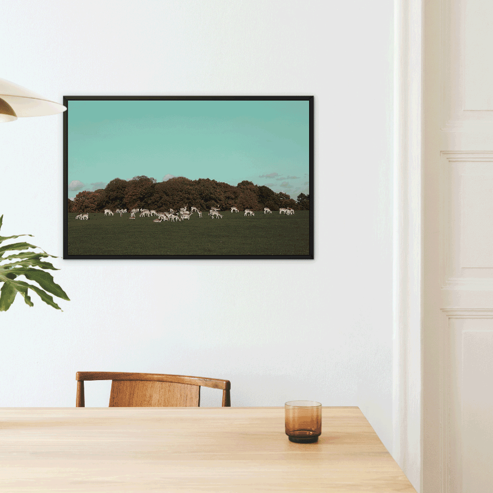 England Framed Canvas Print I Deer in Tatton Park,Warrington,UK I Landscape,skyline, photo print wall art