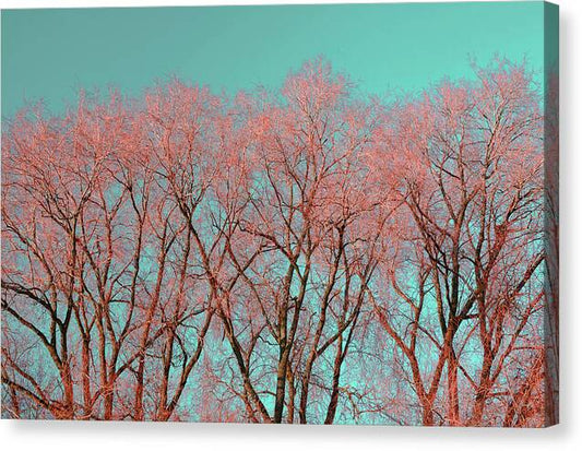 Red Tree Warrington,Photography Print of UK - Canvas Print