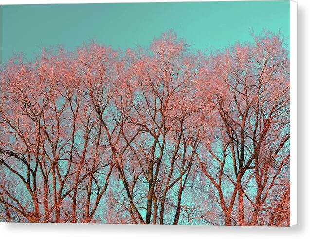 Red Tree Warrington,Photography Print of UK - Canvas Print