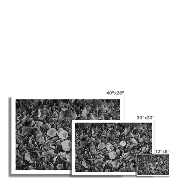 Photography print of UK ,winter leaves in Warrington, Wall Art ,wall decor, wall art prints - ManChingKC Photography