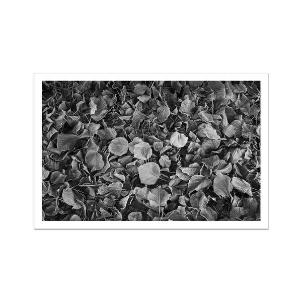 Photography print of UK ,winter leaves in Warrington, Wall Art ,wall decor, wall art prints - ManChingKC Photography