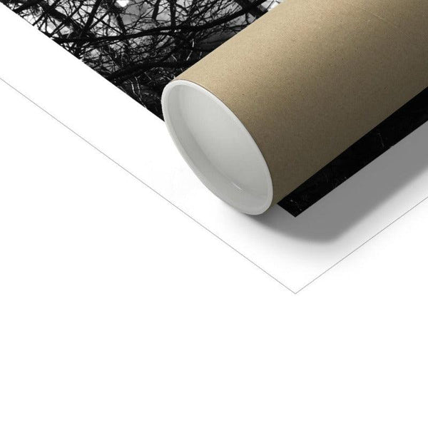 Branches_Manchester_1