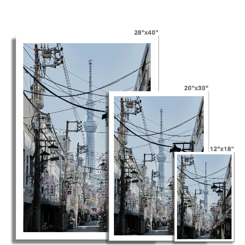 Skytree,Tokyo  Cityscapes Architect Japan  Wall Art Wall Decor