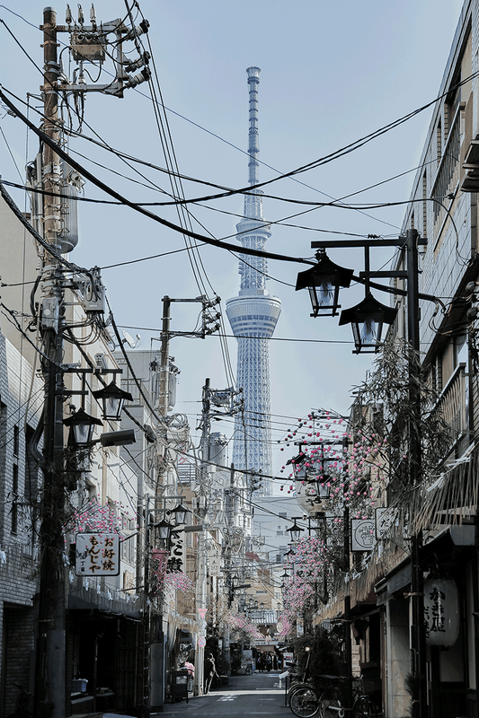 Skytree,Tokyo  Cityscapes Architect Japan  Wall Art Wall Decor