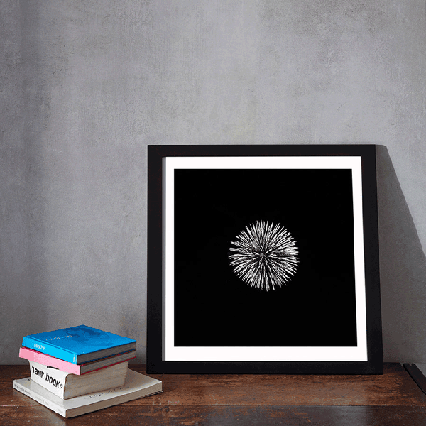 Toyko_fire_work-wall-art-home-collection